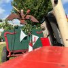 2024 &raquo; Schützenfest &raquo; Tag 2